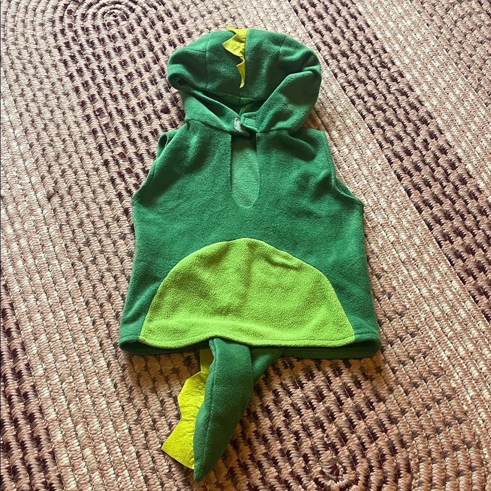 🍀6/$20 homemade Green Dinosaur Kids Costume